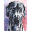 5D Алмазная вышивка собака полная круглая квадратная алмазная живопись животное полная квадратная смола дисплей изображение страз домашний подарок