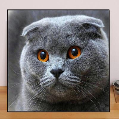 Животные DIY 5D алмазная живопись милый синий кот Алмазная вышивка полный набор аниме наборы для вышивки крестом домашний декор подарок ручной работы