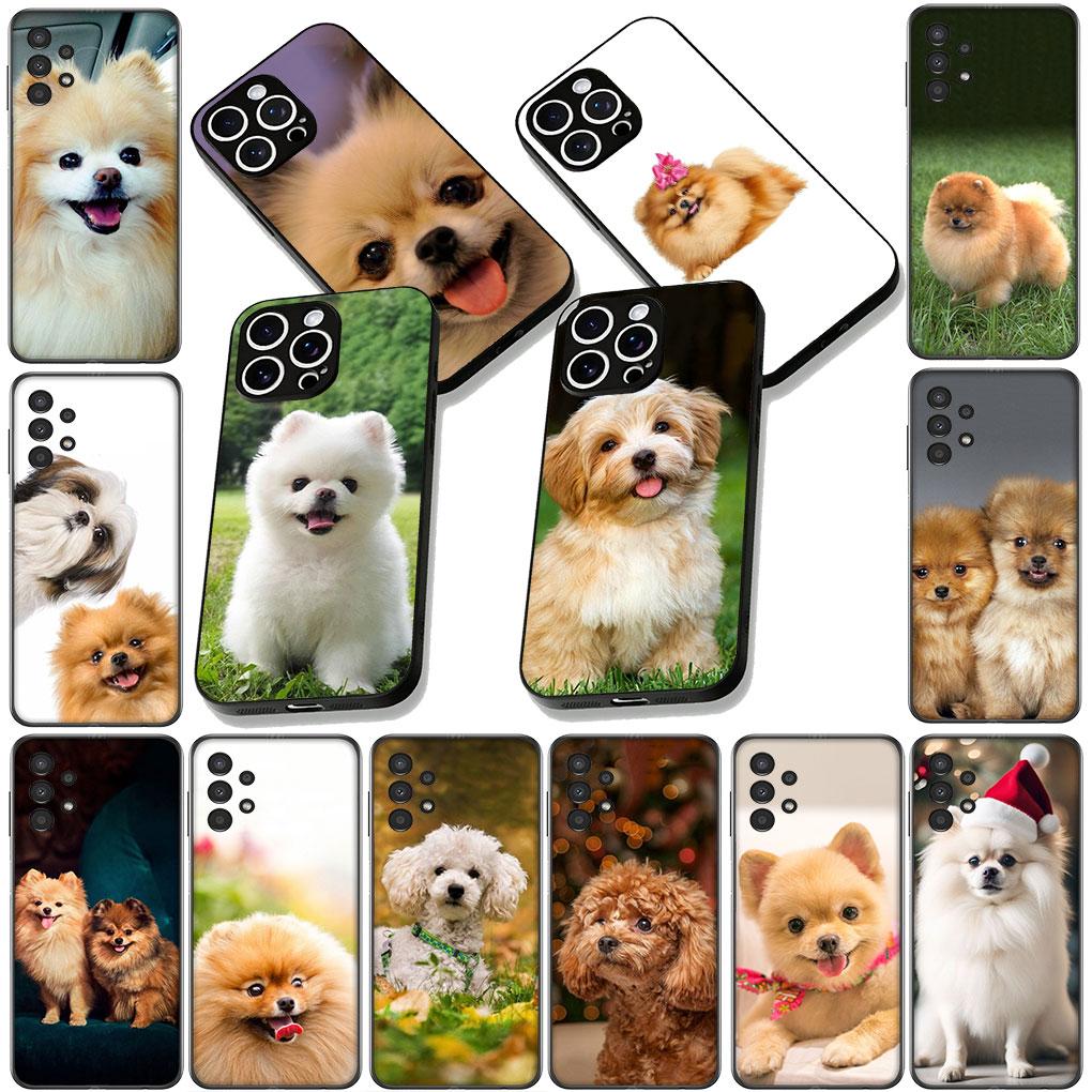 Soft Cover for Samsung Galaxy S22 S21 S20 FE Ultra Plus A35 A36 A55 A37 A33 A34 A57 Coque Phone Case Pomeranian Poodle Dog