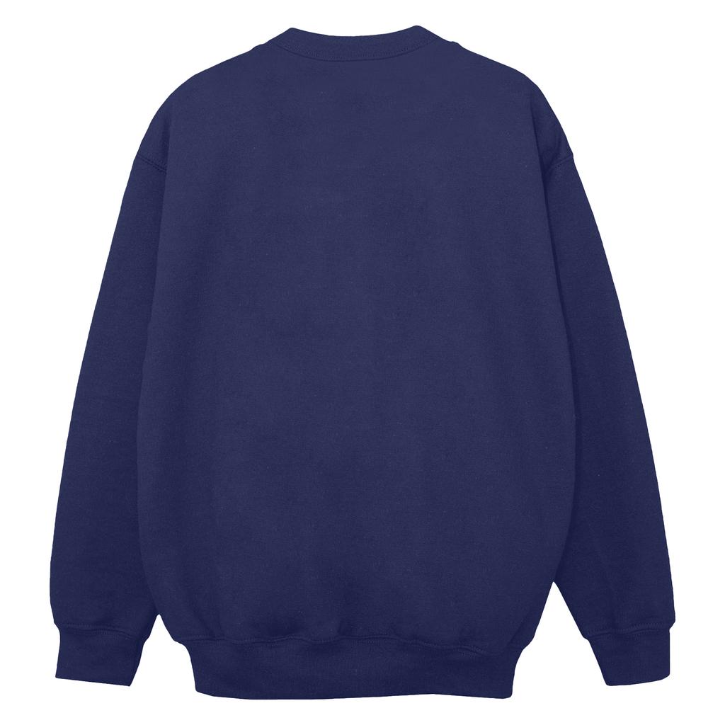 Marvel Womens/Ladies Spidey And His Amazing Friends Neighbourhood Sweatshirt