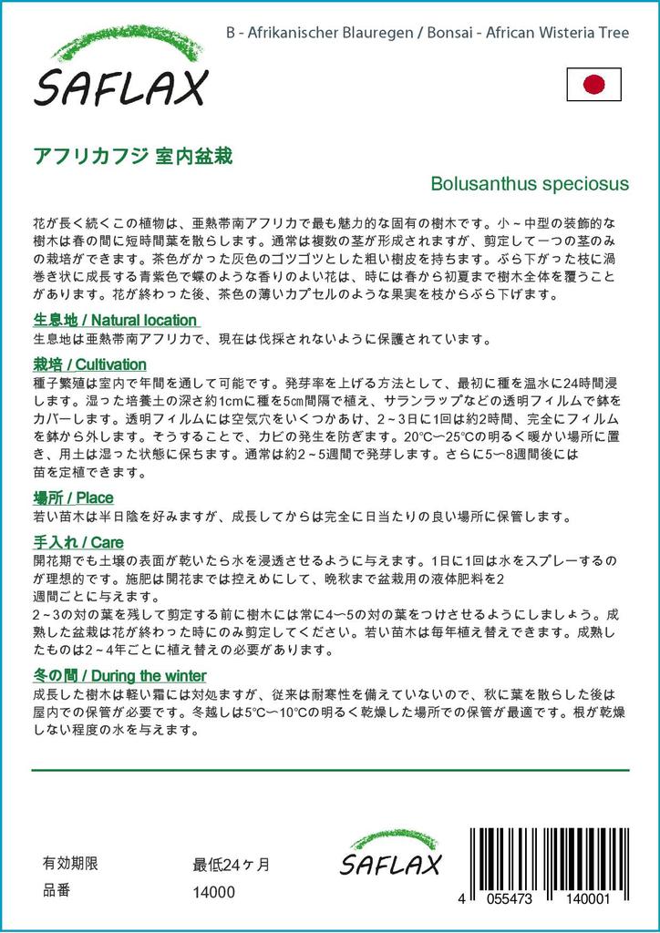 SAFLAX Бонсай - Дерево глицинии африканской - 15 семян - С горшечным субстратом для лучшего выращивания - Bolusanthus speciosus