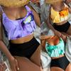 Women's Split Ruffle Print High Waist Bikini With Bra Pad And No Steel Bra Swimming Costume