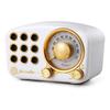 Jenylu Retro Radio Portable Radio USB Rechargeable High Sensitivity Reception Pocket Radio Loud Volume Wide FM