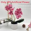 Artificial Phalaenopsis Flower Pot For Outdoor Garden Wedding Decor Photography Props And Home Decor