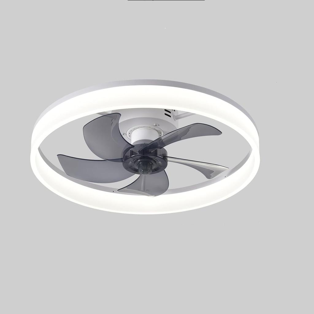 Ceiling Fan with LED Light, Remote Control Six-speed Fan Adjustment, Suitable for Bedroom, Kitchen and Guest Ceiling Fan Lights