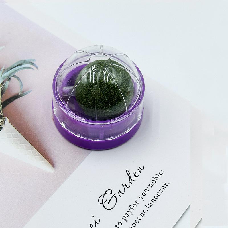 Кошачья мята Мататаби Игрушка-дразнилка и Жевательная палочка для игры котенка