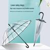 16-Rib Transparent Semi-Automatic Straight Umbrella
