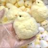 Игрушка-пищалка Курица, Ручная работа Таба Сквиши Цыпленок Ультрамягкие Сквиши Игрушки-антистресс, Милый Сквиши Цыпленок Силиконовые Сжимаемые Игрушки для Снятия Стресса