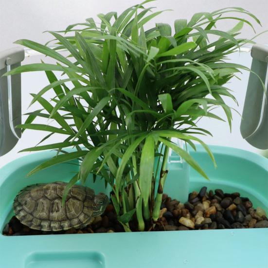 Акриловый террариум для черепах с платформой для купания Растения Полный обзор Визуально Среда обитания рептилий для черепах Крабов Раков