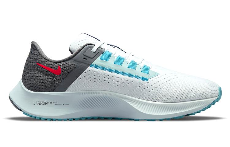 Nike Air Zoom Pegasus 38 Le 'Greedy' DJ3128-001