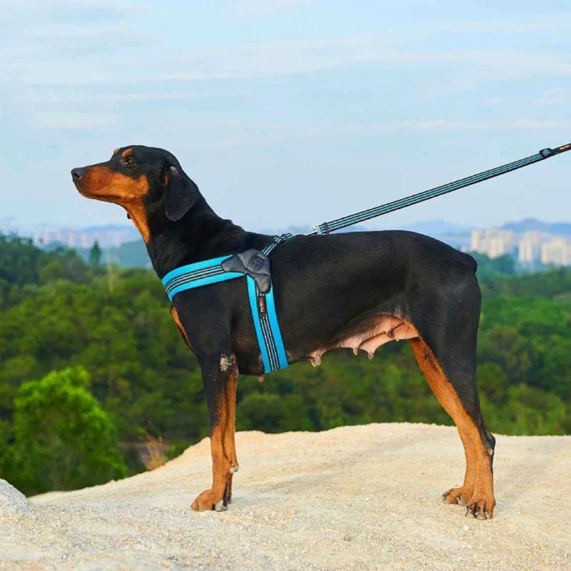 Nylon Breathable Dog Harness Reflective Dog Harness and Leash Set Pet Collar Leash for Dogs Small Medium Large Dog Chest Strap