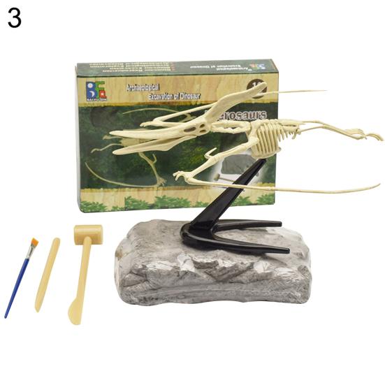 Dinosaur Fossil Skeleton Excavation Dig Up Kit DIY Assembly Educational Kids Toy