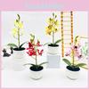 Phalaenopsis Potted Simulated Artificial Artificial Flower Ornament Desktop