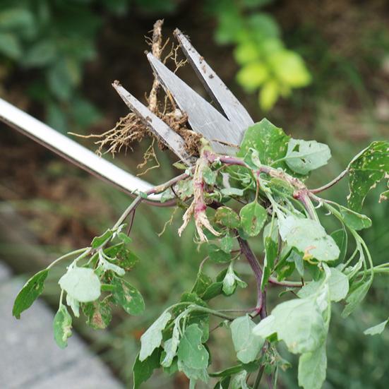 Сверхпрочный инструмент для прополки сорняков из нержавеющей стали с 3 или 4 зубьями, ручной прополочник с длинной ручкой для огорода и двора