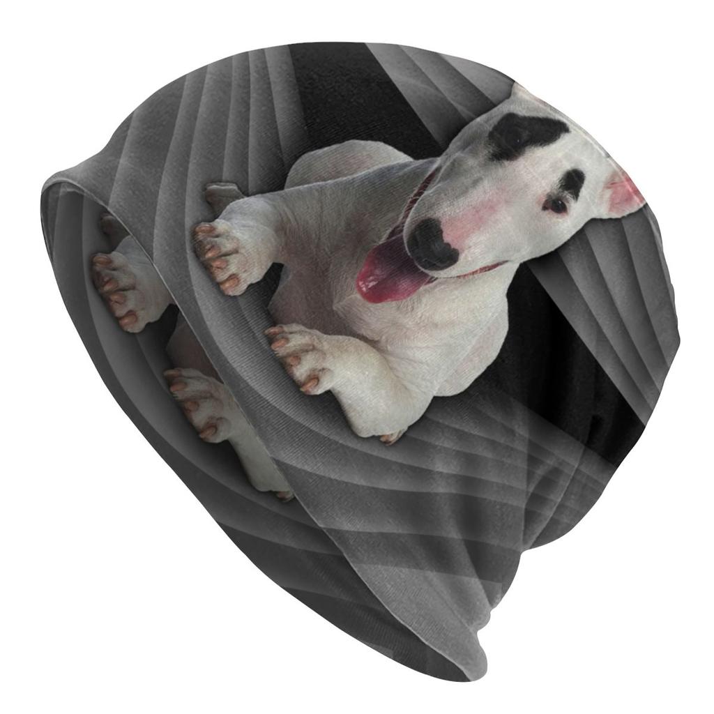 Шапки-бини с напуском для спящего бультерьера, собаки, женские шапки унисекс с животными, щенками, хип-хоп, вязаные шапочки с черепами, шапки для зимних лыж