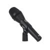 AKG P5 S Supercardioid Vocal Microphone with Switch