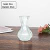 Small French Retro Glass Hydroponic Vase for Home Decor