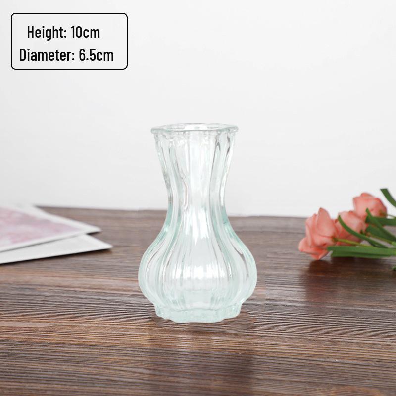 Small French Retro Glass Hydroponic Vase for Home Decor