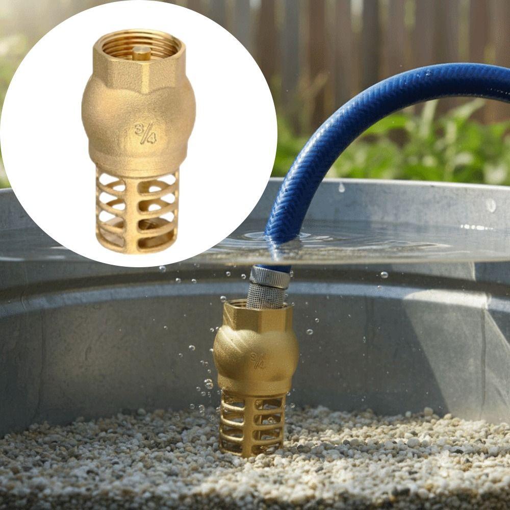 Anti Backflow Bottom Valve Strong Metal Water Pump Valve Check Valve  Complete Specifications