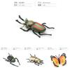 Vibrant Realistic Insect Models Collection With Butterflies Beetles Ants Spiders And Roaches Crafted From High Quality Pvc