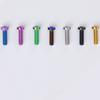 Golden Blue Black Ti M6x20/30mm Head-10mm  GR5 Titanium Alloy TC4 T30 Torx Head Bolts For Motorcycle Disc brake Plate