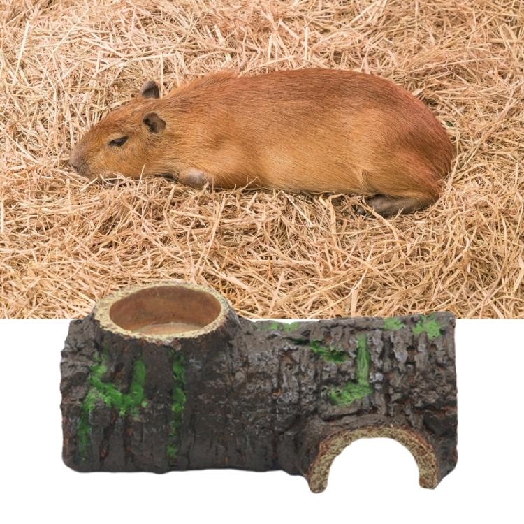 Terrariums Basking Platform Fishtanks Decorations Landscaping Ornaments Reptiles Shelter Cave Turtles Hideaways Tree Bark