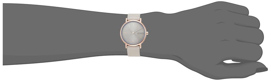 Часы SIGNATUR LILLE SKW3060 Серые [Skagen] Женские