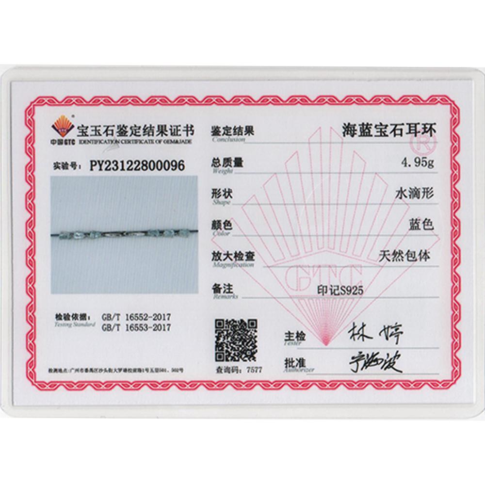 Gorgeous Silver Dangling Earrings for Lady Natural Aquamarine March Birthstone Light Luxury Fancy Jewelry Dating Romantic Gift