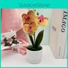Faux Flowers Three Butterfly Orchid Green Plant For Home Decoration Office