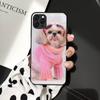 Чехол для телефона с изображением щенка ши-тцу Shitzu для iPhone 11 12 13 mini pro XS MAX 8 7 6 6S Plus X 5S SE 2020 XR
