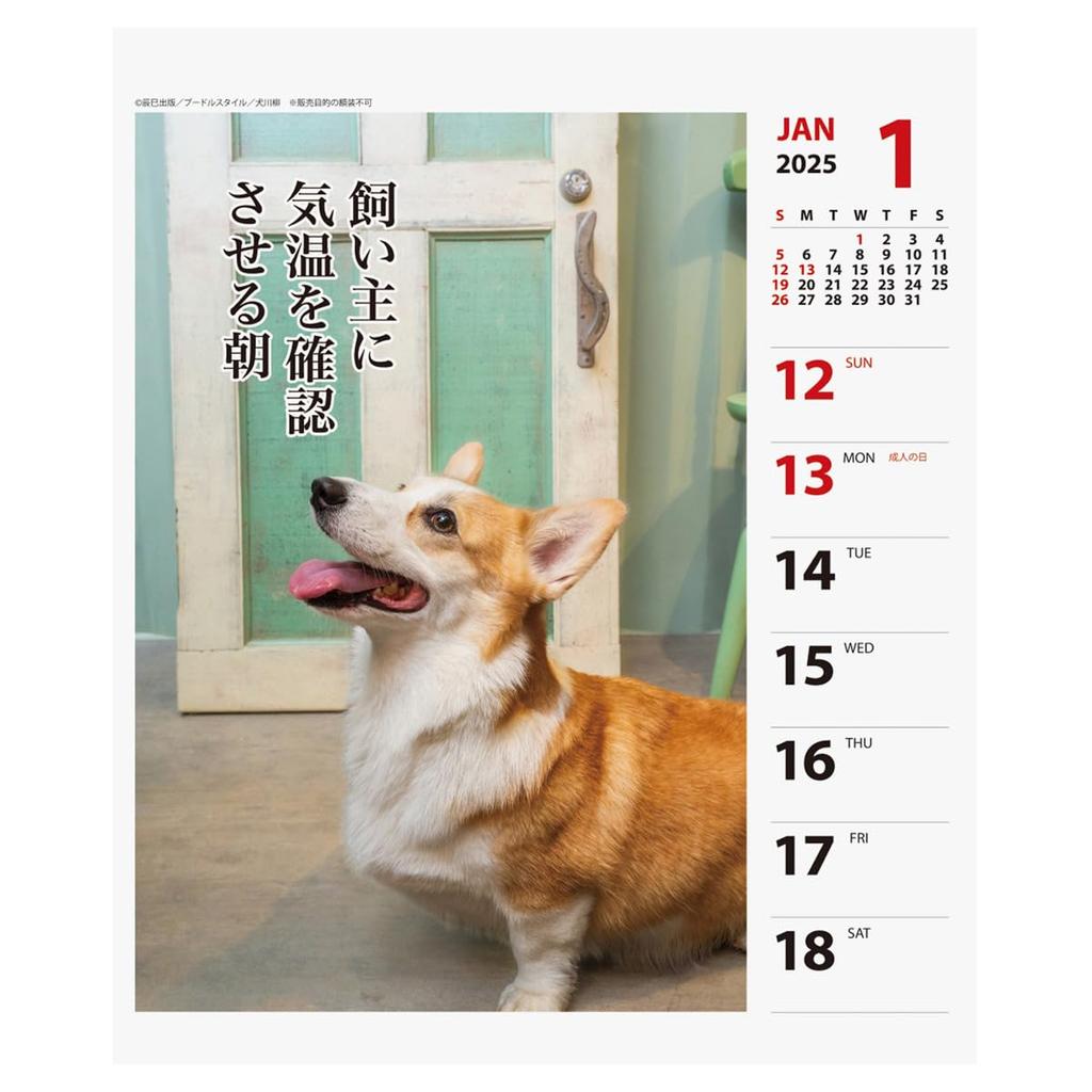 2025 Корги Сенрю (Еженедельно) Календарь №027
