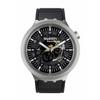 Watch DARK IRONY SB07S105 Black [Swatch]