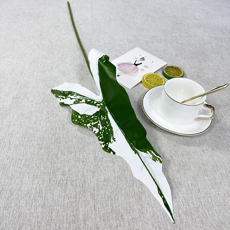 DIY Floral Design: Alocasia, Begonia, Caladium Leaves for Wedding Aisle & Plant Wall