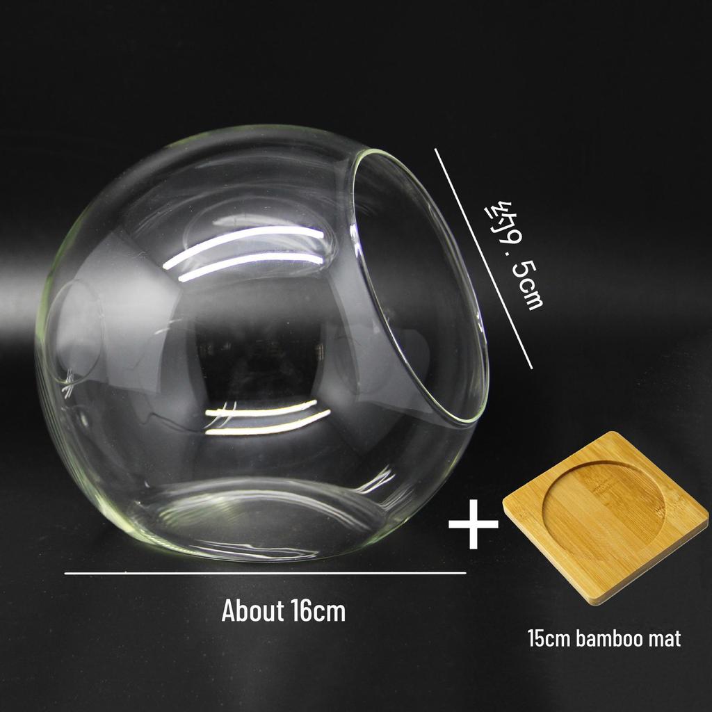 Круглая стеклянная ваза с косым горлышком для суккулентов и микроландшафтов