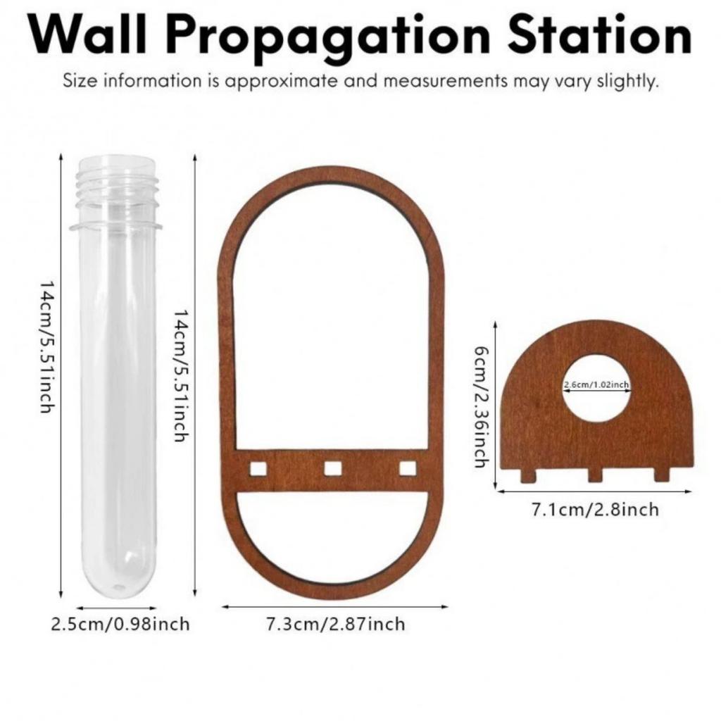 Plant Propagation Station Wall Hanging Wooden Plant Terrarium for Hydroponics Home Office Decor Test Tube Propagate Air Plant Cutting Holder