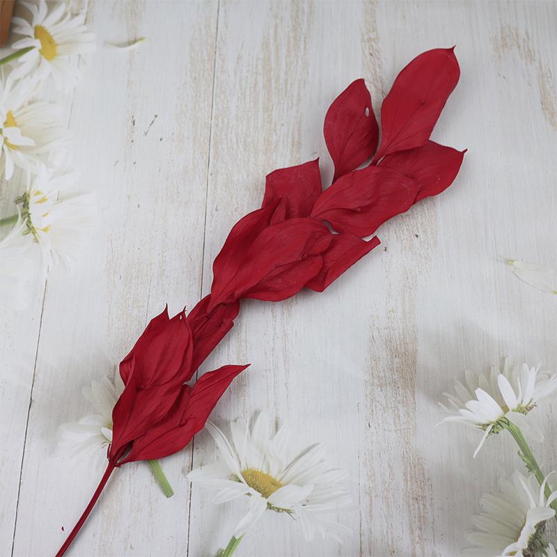 DIY Floral Art Ornament: Preserved Tangerine & Fishtail Leaf, Lily, Bamboo Dried Flowers – Ikebana Photo Prop for Home Décor.
