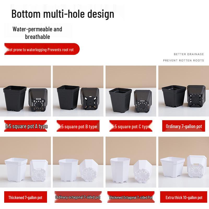 Popular Octagonal Breathable Small White Square Succulent Pot - Plastic Black Square Seedling and Leaf Pot