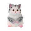 Cartoon Simulation Cat Squeeze Toys Slow Rebound Cat Fidget Toy Big Cat Doll Squeeze Toy  Adults