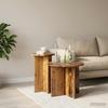Side Table Set with Storage 2 pcs Reclaimed Wood Wood Based Material