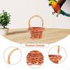 10 Pieces Bird Toy Chewing Hanging Feeder Foraging Basket for Small Animal Parakeet