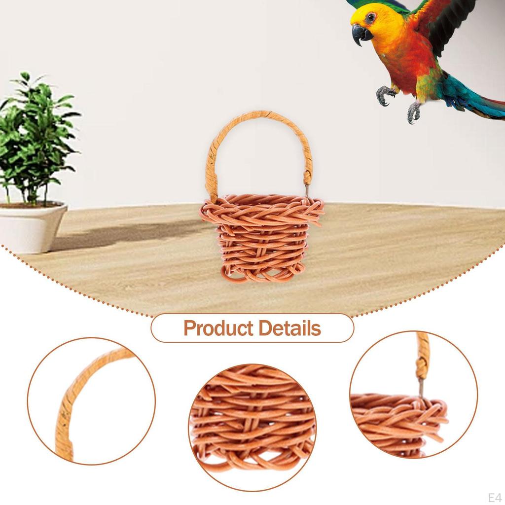 10 Pieces Bird Toy Chewing Hanging Feeder Foraging Basket for Small Animal Parakeet