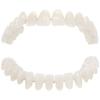 28 Pcs Resin Denture False Teeth Make Your Own Dental Training Models  Dental Supply Accessory
