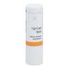 Dr. Hauschka Lip Care Stick [Lip Cream Beeswax] Lip Balm Body
