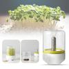 Mini Bean Sprouter Large Capacity Sprout Dish Growing Pot Bean Sprout Growing Machine  Pea