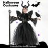Black Mesh Halloween Costume Dress Wings Shawl Black Mesh Princess Dress  Cosplay Event
