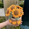 Tulip Flowerpot Flower/Sunflower Crochet Kit Crochet Starter Kit Handmade Crafts Lovers