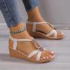 Fashion Women Solid Color Wedge Sandals  New Ankle Buckle Non Slip Gladiator Shoes Woman Fashion Chunky Platform Sandalias Mujer 2024