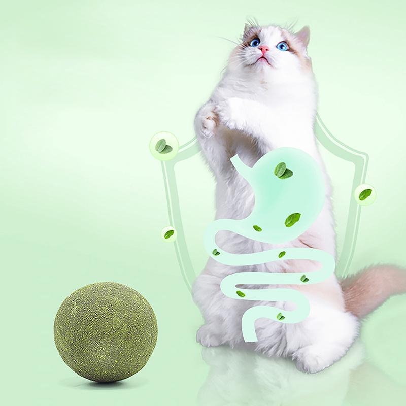 Super Large Catnip Ball 10Cm Cat Grass Self-Hi Relieving Stuffy Insect Gall Fruit Giant Pet Bite Molar  Pet Cat Toy