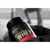 Optimum Nutrition Gold Standard Whey Chocolate Flavored Protein Powder, 2.27kg, 1 Unit