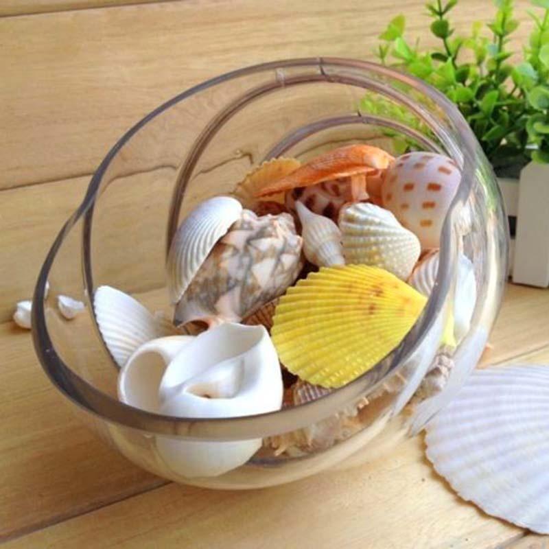 Approximately 100g of Mixed Sea Shells 30 Pieces Per Bag, with Random Colors To Create a Unique Aquarium Landscape